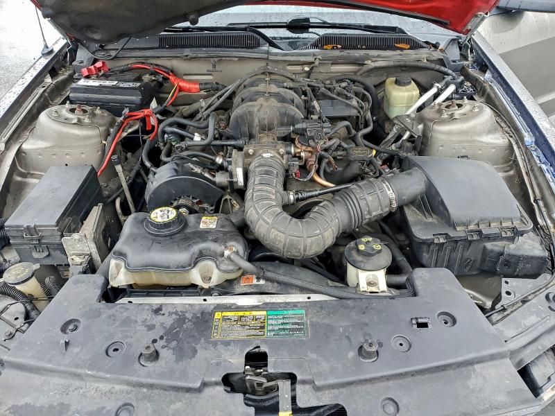 2005 FORD MUSTANG #3303903714