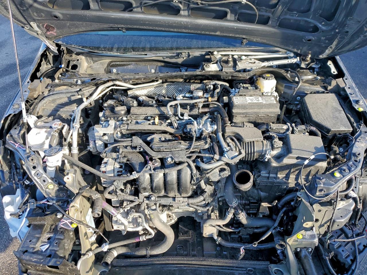 Lot #3317831195 2025 TOYOTA COROLLA LE