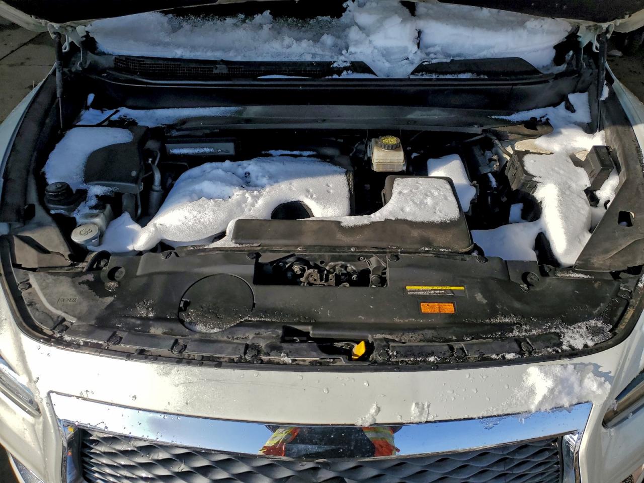 Lot #3310368961 2019 INFINITI QX60 LUXE