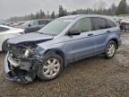 Lot #3317077004 2011 HONDA CR-V SE