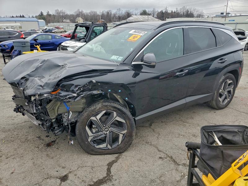 2024 HYUNDAI TUCSON LIM #3310481135