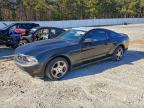 Lot #3311554264 2012 FORD MUSTANG