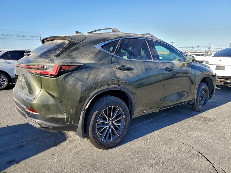 2024 LEXUS NX 250 BAS #3316980093