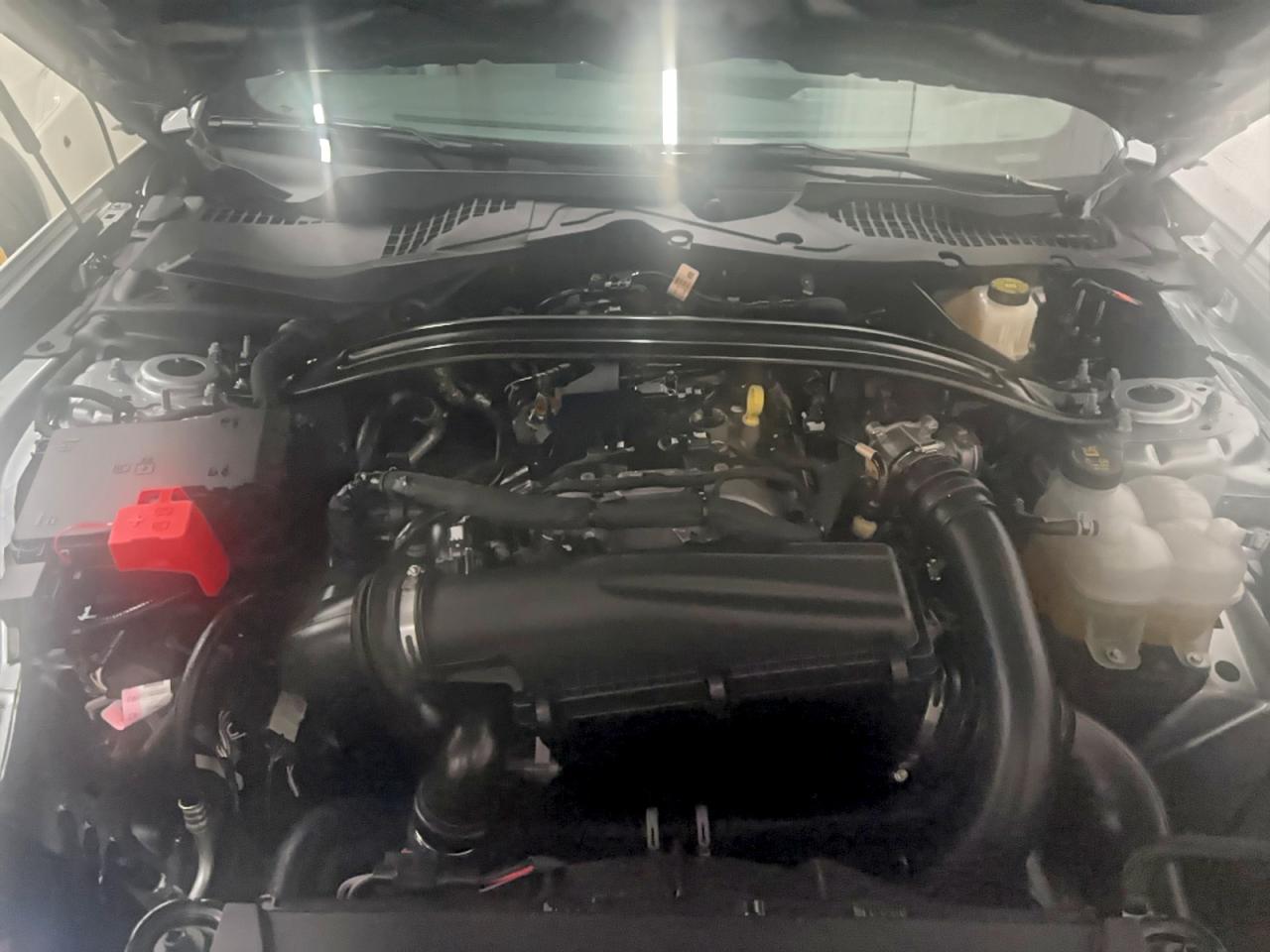 Lot #3310325009 2025 FORD MUSTANG