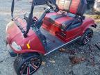 Lot #3304540444 2024 EVOLUTION GOLF CART