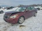 Lot #3309348014 2008 HONDA ACCORD EX