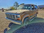 Lot #3315580780 1983 FORD BRONCO U10