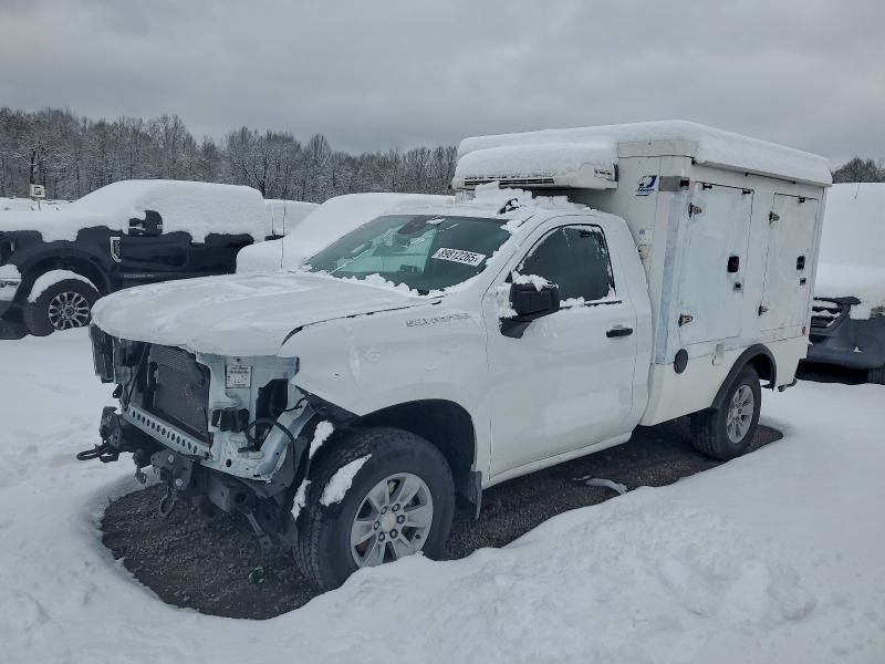 2025 CHEVROLET SILVERADO #3302649020