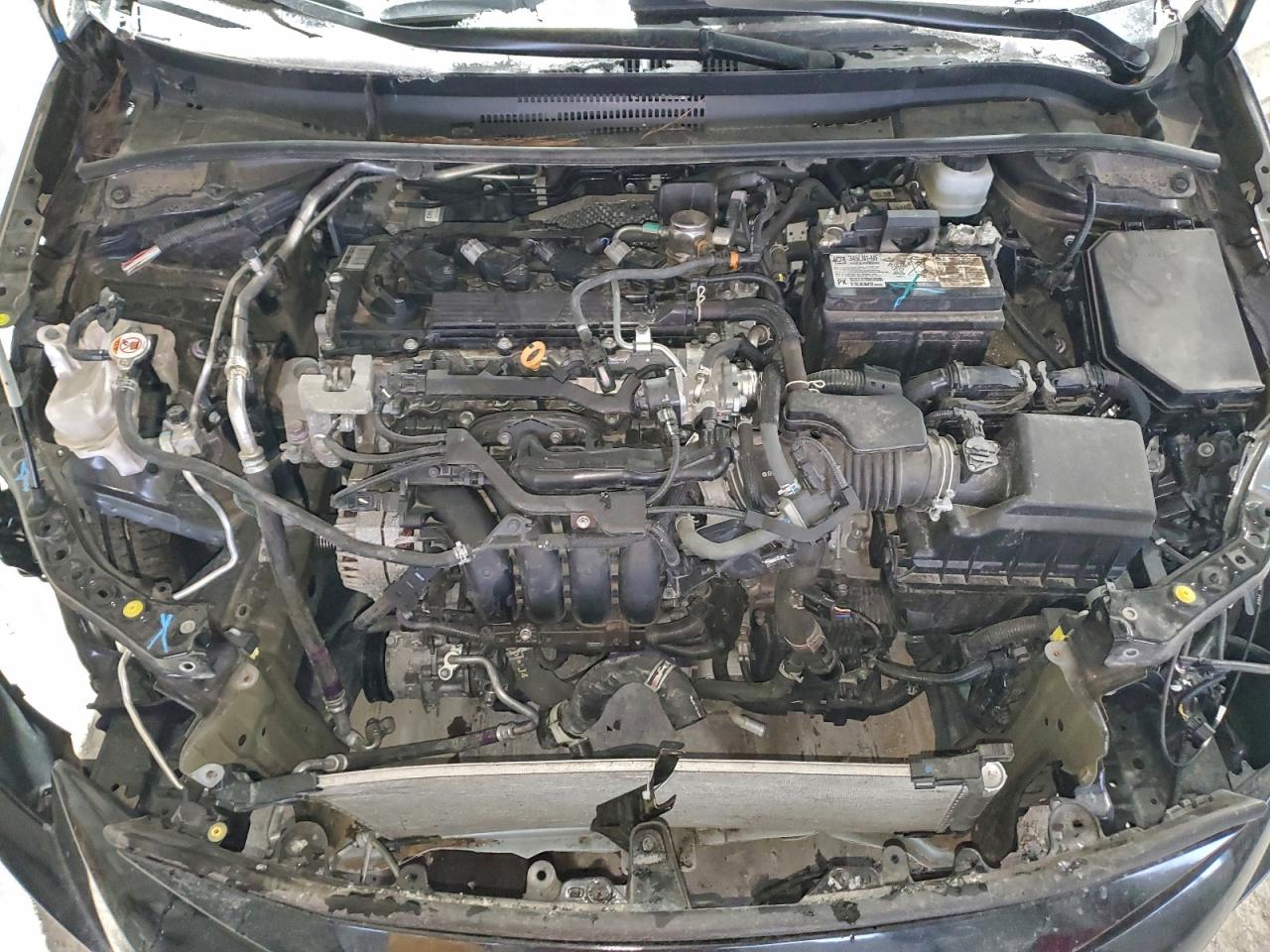 Lot #3308289166 2024 TOYOTA COROLLA LE