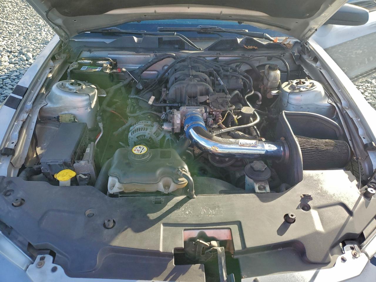 Lot #3311552252 2010 FORD MUSTANG