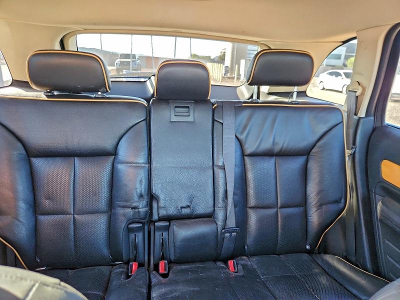 2010 LINCOLN MKX #3302013066