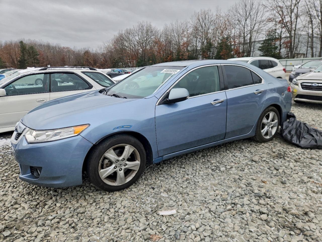 Lot #3317725098 2009 ACURA TSX