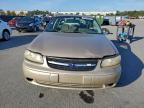 Lot #3310343986 2005 CHEVROLET CLASSIC