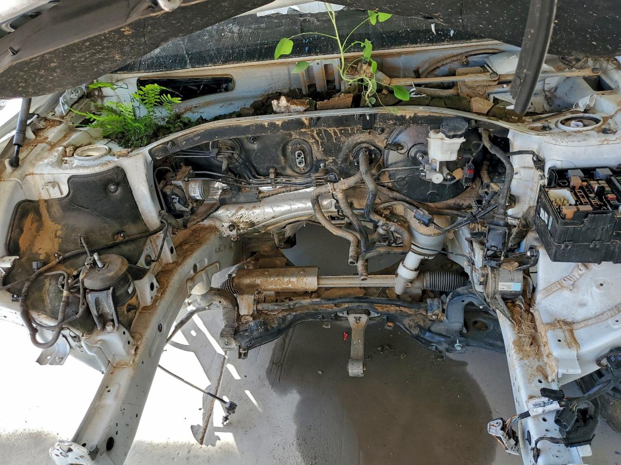 Lot #3317793129 2020 KIA TELLURIDE