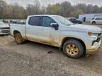 Lot #3319086302 2023 CHEVROLET SILVERADO