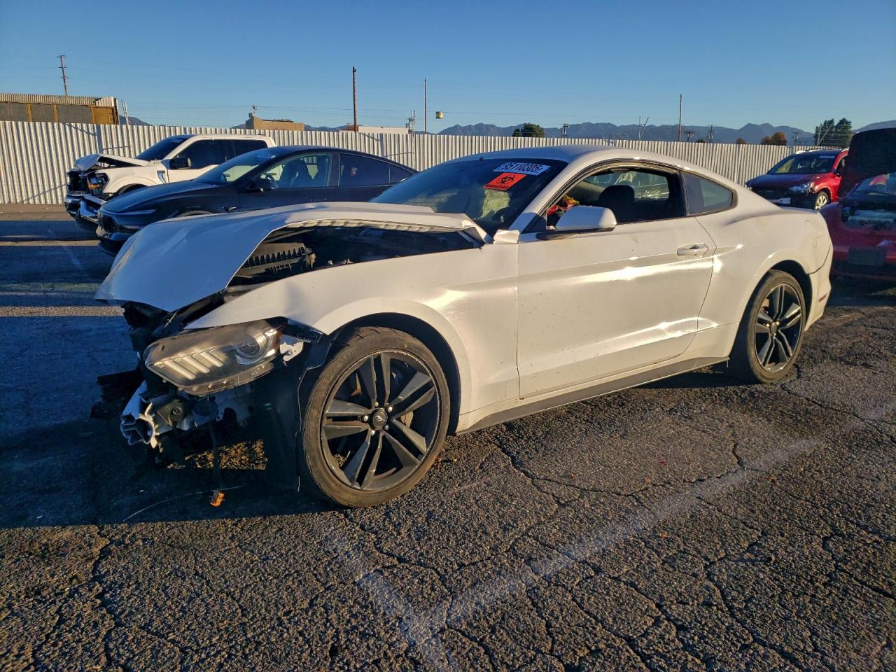 Lot #3317056986 2017 FORD MUSTANG