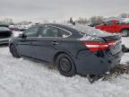 Lot #3317540525 2014 TOYOTA AVALON BAS