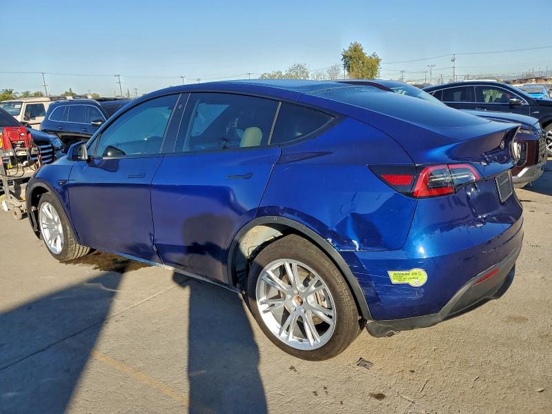 2023 TESLA MODEL Y #3309490565
