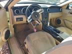 Lot #3308673303 2005 FORD MUSTANG