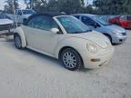 Lot #3303944719 2005 VOLKSWAGEN NEW BEETLE