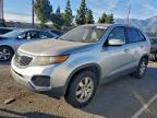 Lot #3319918151 2011 KIA SORENTO BA