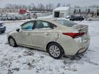 Lot #3315805351 2019 HYUNDAI ACCENT SE