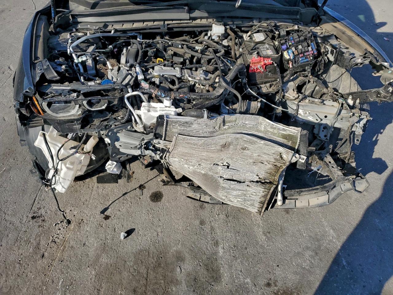 Lot #3304540464 2025 MAZDA CX-50