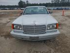 Lot #3309303654 1989 MERCEDES-BENZ 560 SEL