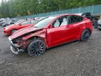 Lot #3312301794 2023 TESLA MODEL Y