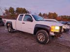 Lot #3311464242 2013 CHEVROLET SILVERADO