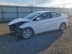 Lot #3310537043 2016 HYUNDAI ELANTRA SE