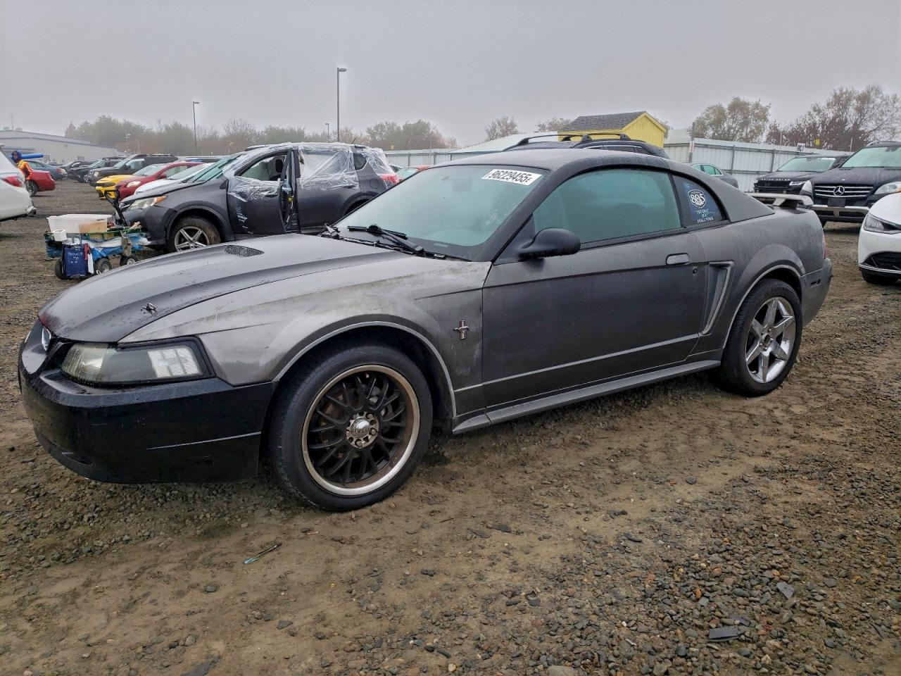 Lot #3315707460 2003 FORD MUSTANG