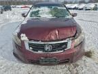 Lot #3309348014 2008 HONDA ACCORD EX