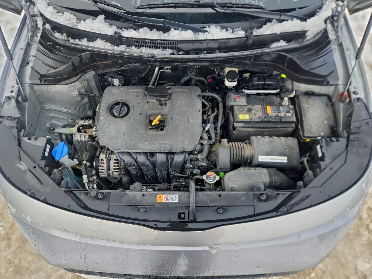 Lot #3316003807 2024 KIA BORREGO LX