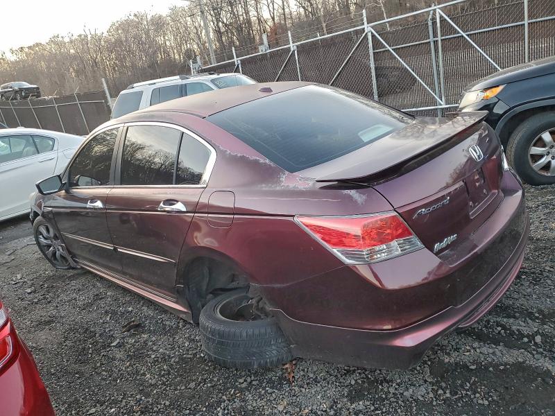 2010 HONDA ACCORD EXL #3306393557