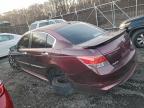 Lot #3306393557 2010 HONDA ACCORD EXL