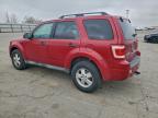 Lot #3319014409 2010 FORD ESCAPE XLT