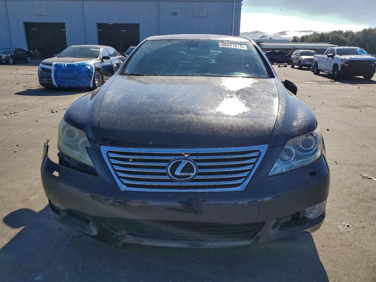 LEXUS LS 460