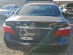 Lot #3309800347 2008 LEXUS LS 460