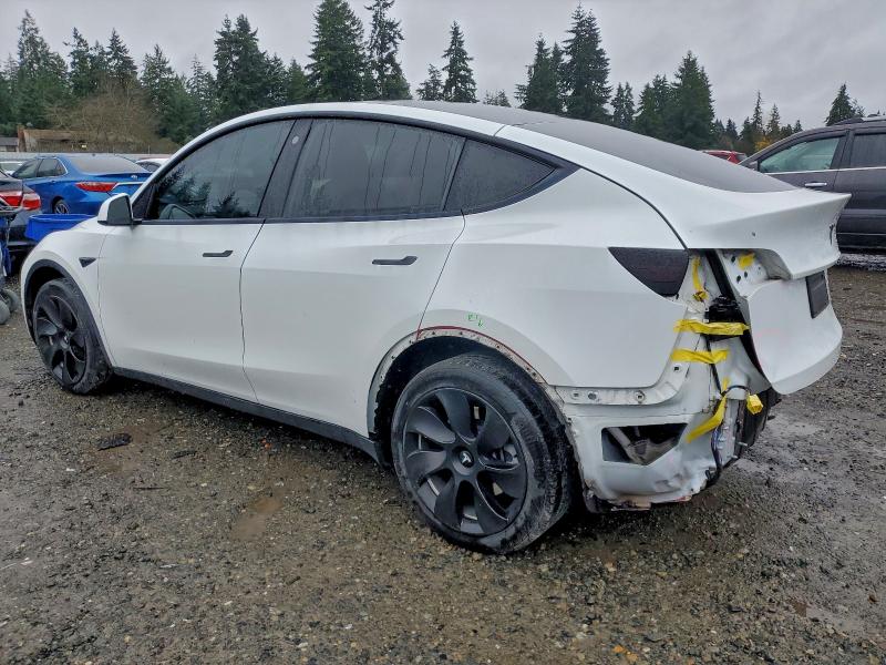 2021 TESLA MODEL Y #3311816207