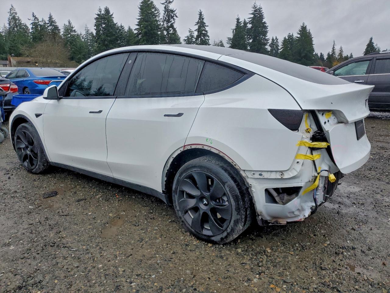 Lot #3311816207 2021 TESLA MODEL Y