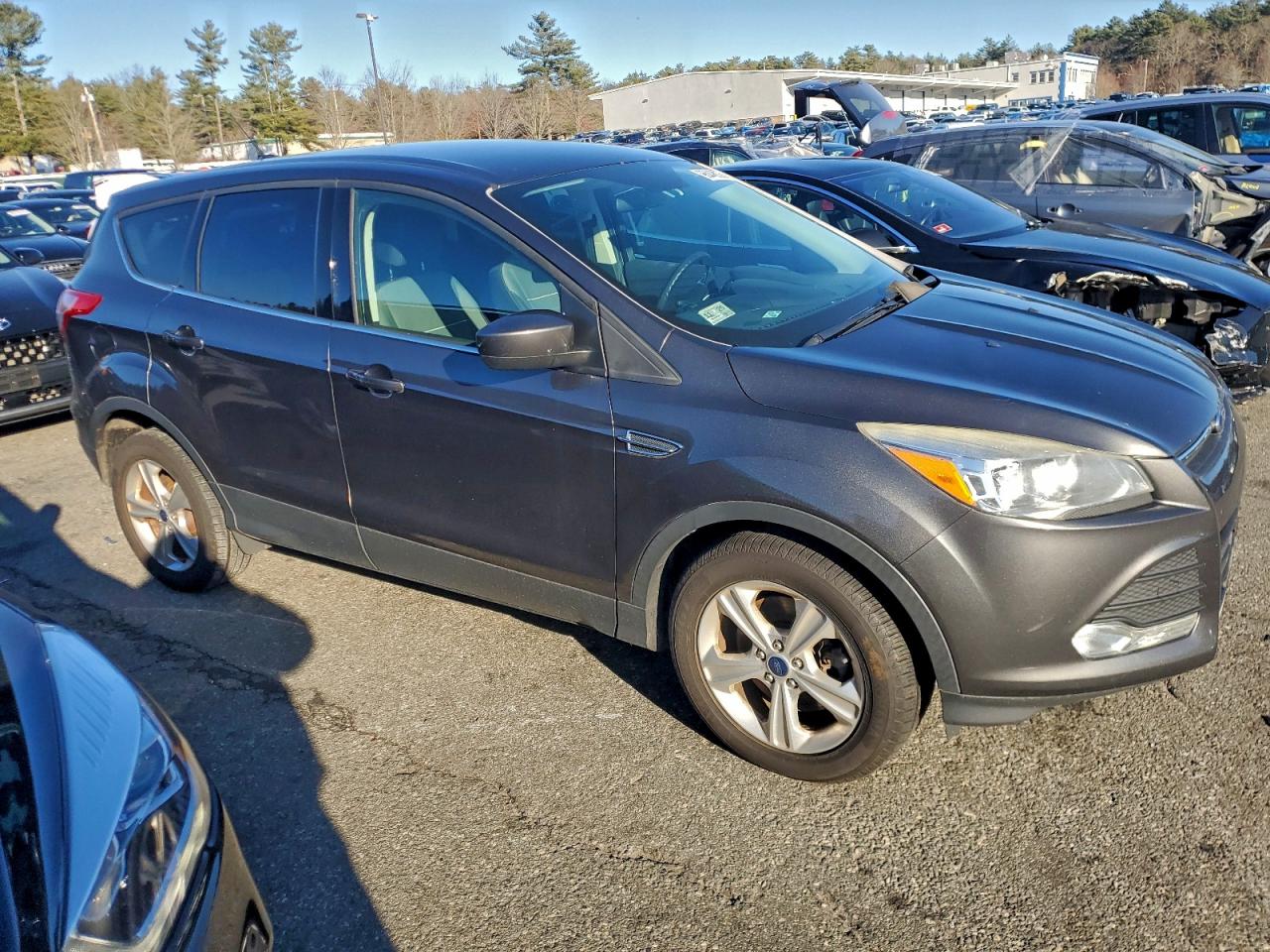 Lot #3312539619 2015 FORD ESCAPE SE