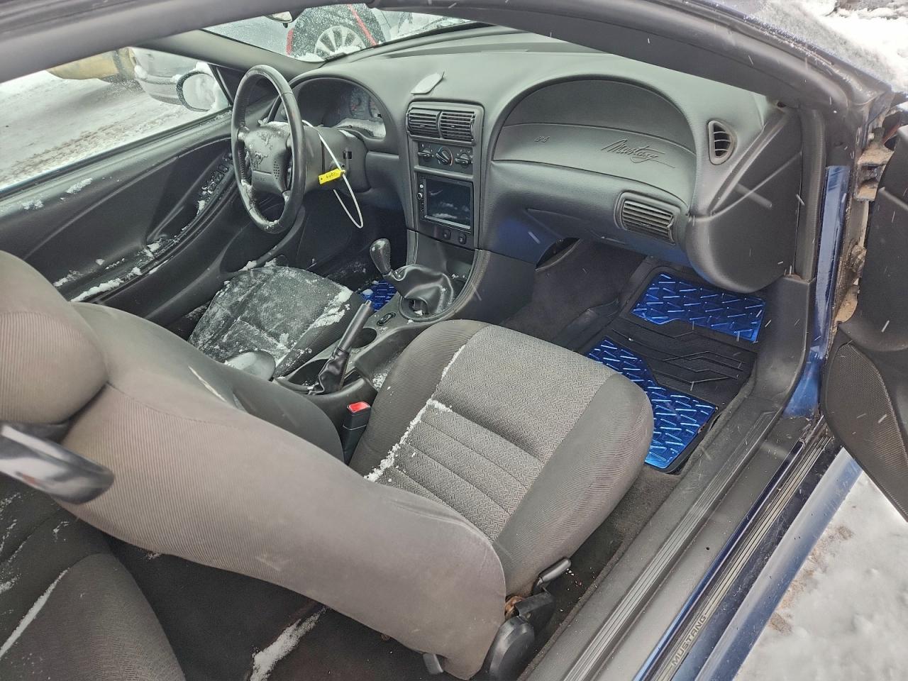 Lot #3304645944 2003 FORD MUSTANG GT