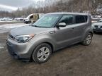 Lot #3305302341 2016 KIA SOUL