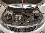Lot #3315585781 2013 KIA SORENTO EX