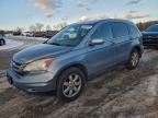 Lot #3304602506 2011 HONDA CR-V EXL