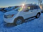 Lot #3306732781 2010 HONDA CR-V LX