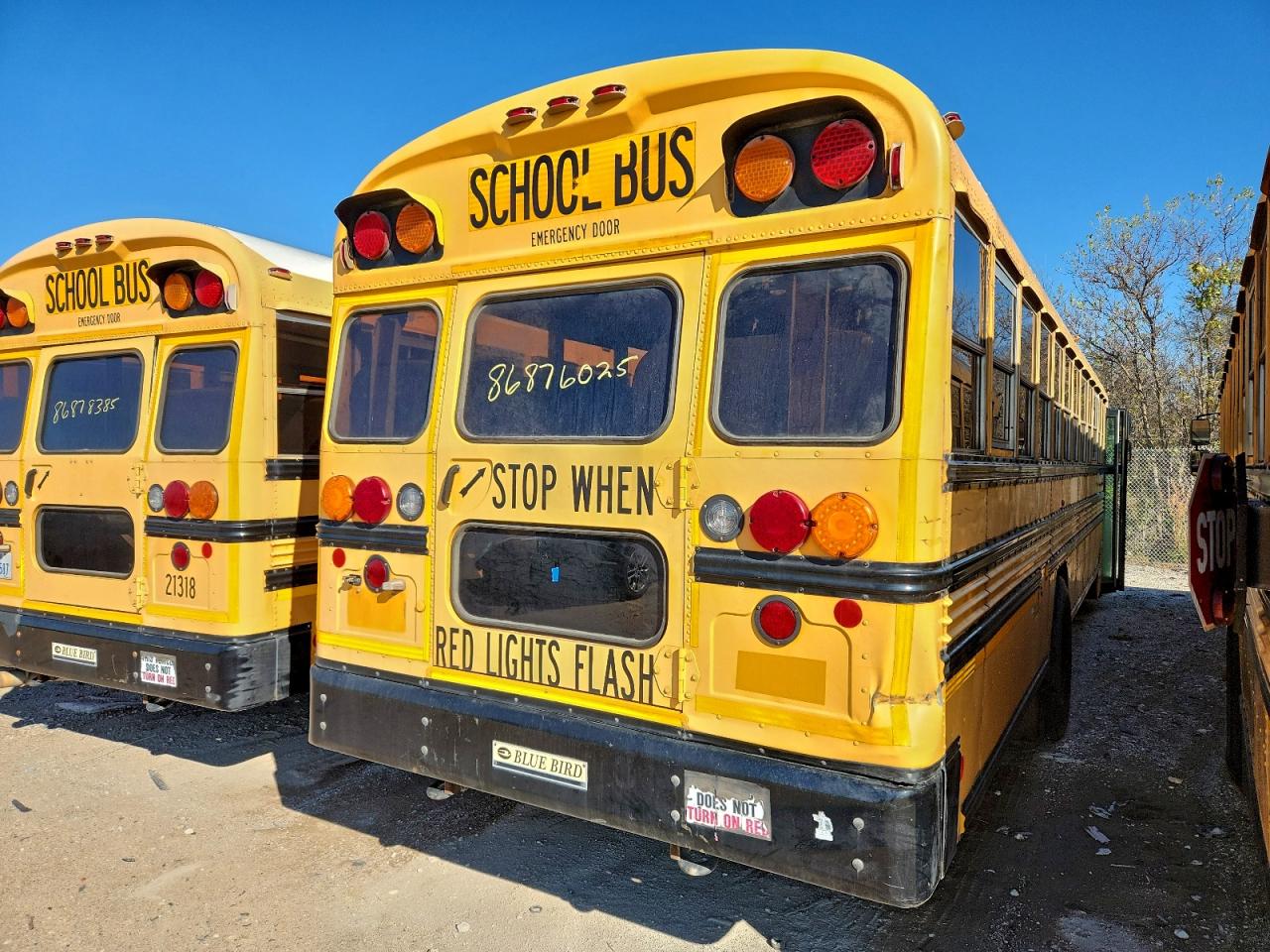 Lot #3305292301 2012 BLUE BIRD SCHOOL BUS