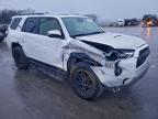 Lot #3305493110 2024 TOYOTA 4RUNNER SR