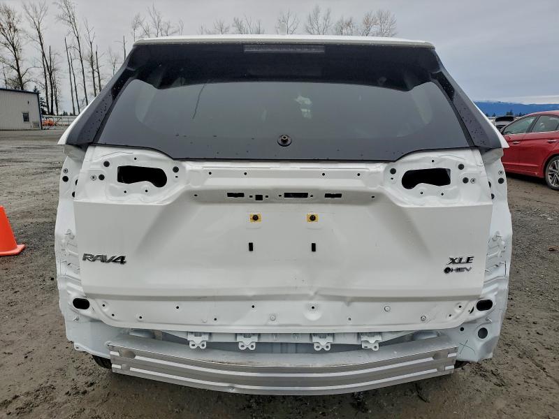 2025 TOYOTA RAV4 XLE #3304849571